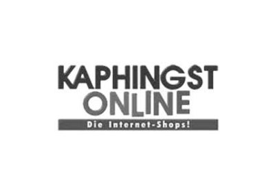 kaphingst-online.de