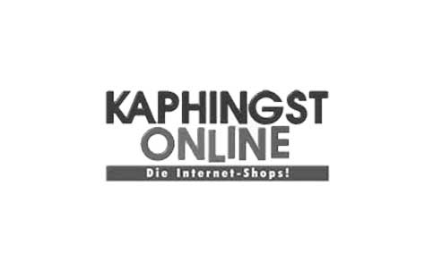 kaphingst-online.de