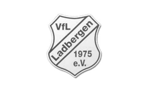 vfl-ladbergen.de