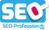 SEO-Profession